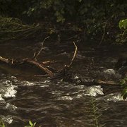 Black_mountain_creek-lwa_card
