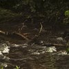 Black_mountain_creek-lwa_thumb