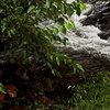 Black_mountain_creek-lwb_thumb