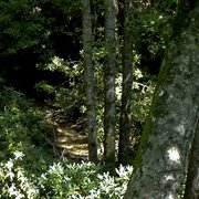 Mountain_creek_b3_card