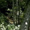 Mountain_creek_b3_thumb