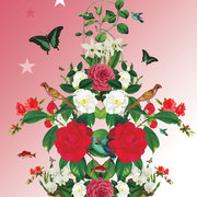 2_card