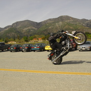 Louwheelie2_card