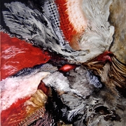 D5272_card