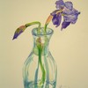 Iris_i_caraffel55x40_thumb