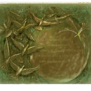 Elaborazione_in_studuo_card