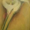 Brisa4_005_thumb