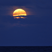 Full_moon_florida_card