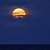 Full_moon_florida_thumb