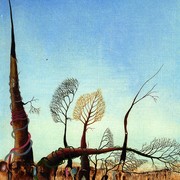 Waldv_1989_card