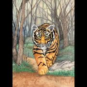 Zapp_art_work_for_artigras_012_card