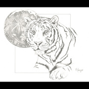 Zapp_art_work_for_artigras_013_card