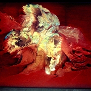 Carmen_card