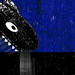 Shark-pickle_square