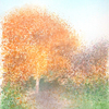 Autumn_tree_thumb