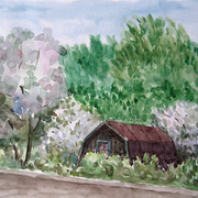 Roof___flourishing_trees_card