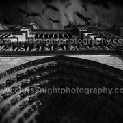 Img_1492_card