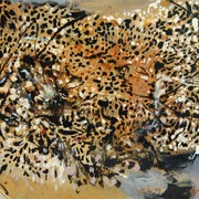 Noa_081_card