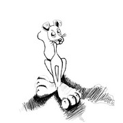 Doggie_copy_card