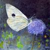Butterfly_thumb