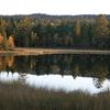 Autum_thumb