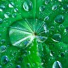 Img_4416_thumb