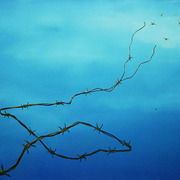Freedom_no_1_130cm_x_100cm_card