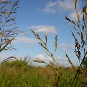 Img_2935_card