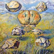 Oana_chinchisan-sursa-100x120cm_card