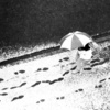 Snow_walk_thumb