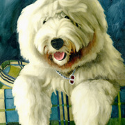Dog_card