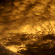 Golden_sky__1_card