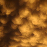 Golden_sky__2_card