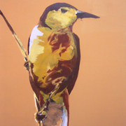 Morning_songbird72cw_card