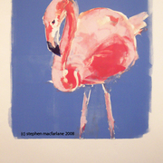 Flamingo72cw_card