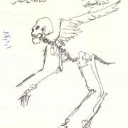 022_card
