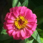 100_6555_card