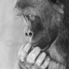 Mysecret_thumb