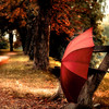 1747214-2-red-umbrella-relaxing-on-the-bench_thumb