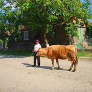 P1010525_card