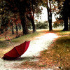 1748032-2-red-umbrella-walk-trough-park_thumb
