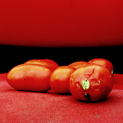 Nature-morte-aux-tomates_card