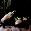 Nature-morte-aux-aubergines_thumb