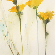 Blomning_card