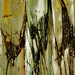 Pic_9994748_0222373_1__square