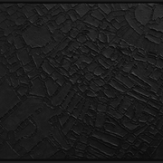 Viennacity_card