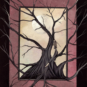Resize_wizard-23_card