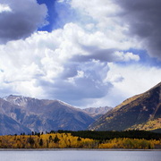 Aspen_field_card