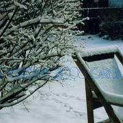 Winter_yard_copynamecr8n_card