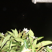 Dscf0009_card